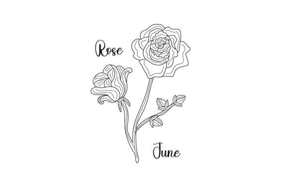 Review: June Rose Line Art for Boutique Sweatshirts